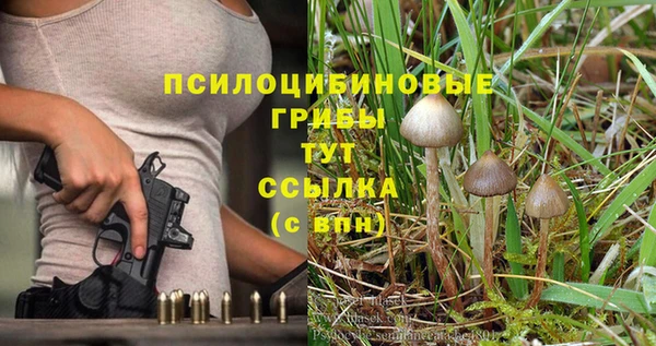 кокаин Горнозаводск